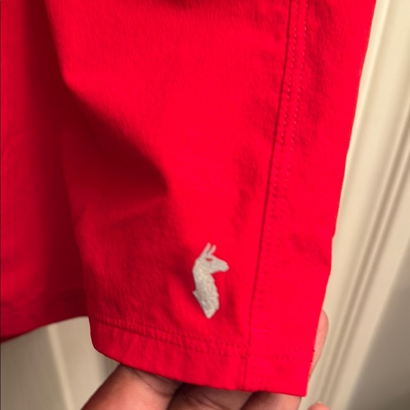 Cotopaxi men’s  Red Tola swim trunks. Size large - Picture 4 of 6